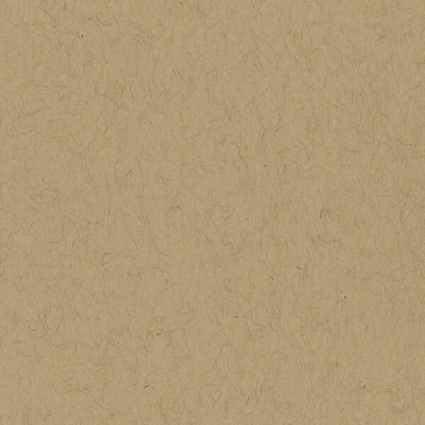 Kraft - Bazzill 12x12 Cardstock