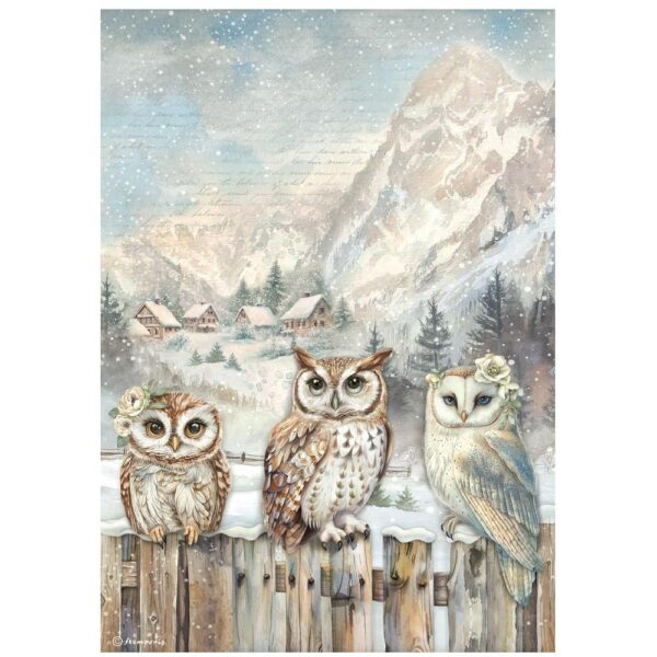 Stamperia - The Owl's House - Rice Paper A4 Selection Pack 6Pk - Image 3