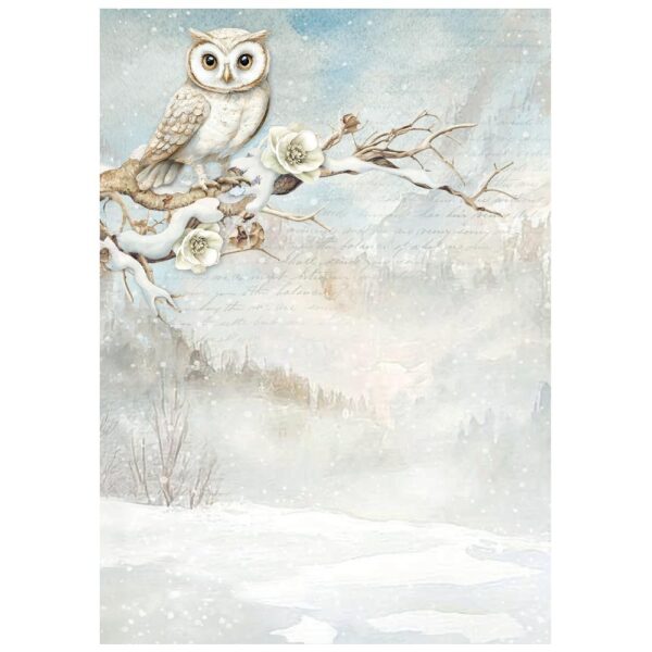 Stamperia - The Owl's House - Rice Paper A6 Backgrounds Pack 8Pk - Image 2