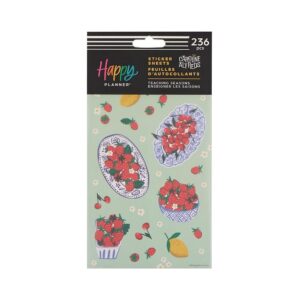 Happy Planner - Sticker Value Pack 10/Sheets, Teaching Seasons
