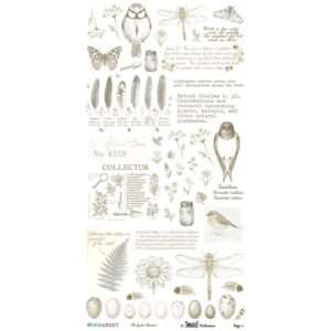 49 & Market - The Quiet Observer - Rub-on Transfer Set, Essential - Image 3