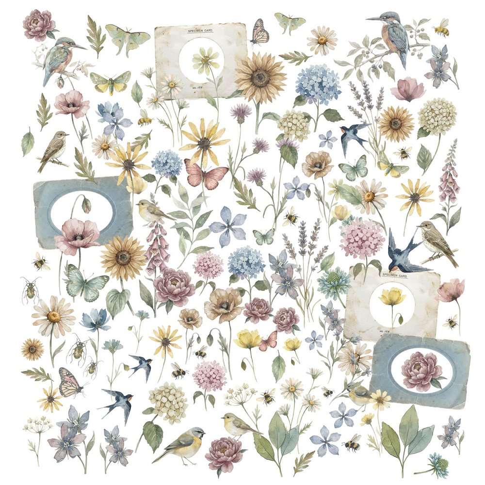 49 & Market - The Quiet Observer - Laser Cut Wildflowers - Image 2
