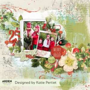 Arden Creative Studio - Christmas Cheer - Frame Ephemera Pack - Image 3